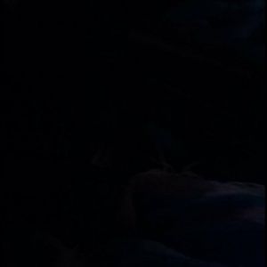 Meet your Posher, Jack